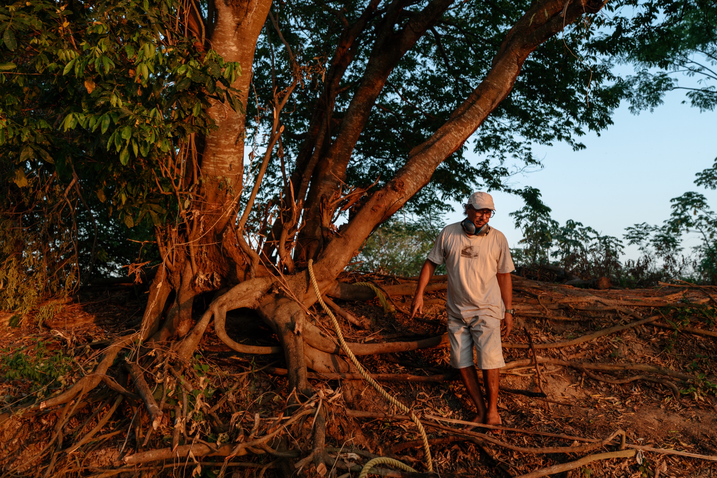 Mooring Tree