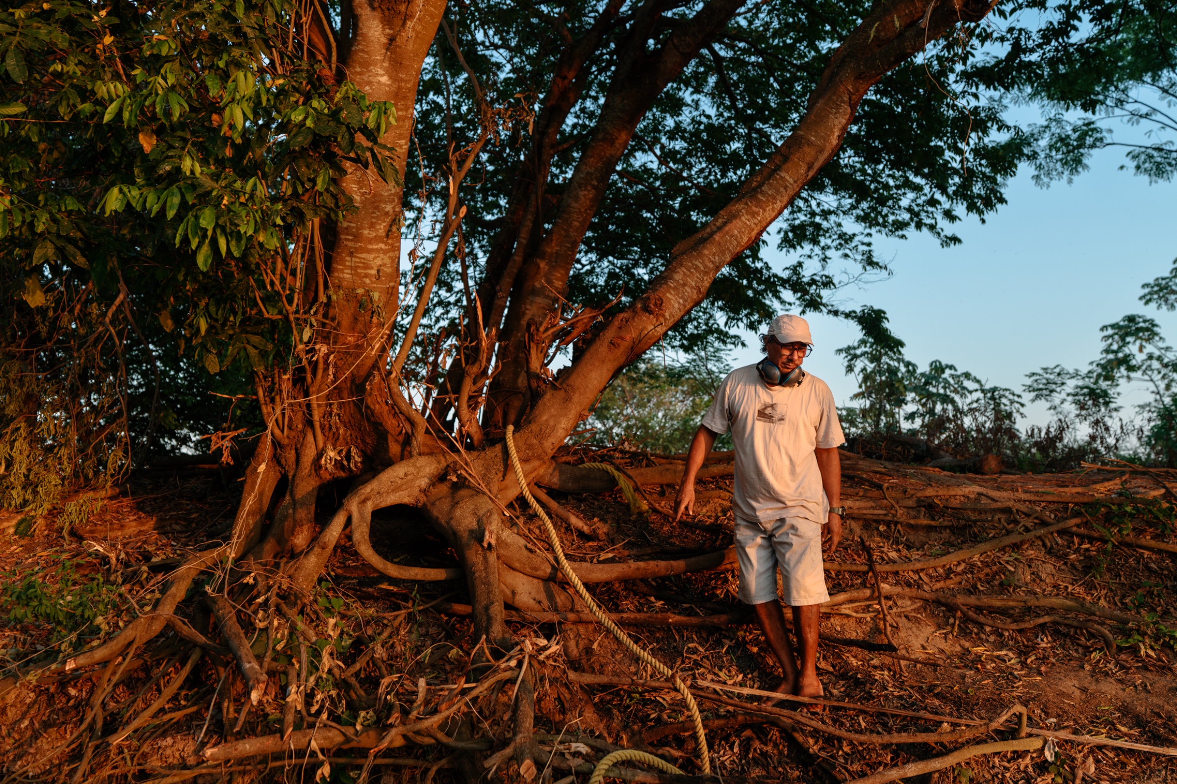 Mooring Tree